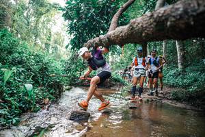 BIB: 
                            <button type="button" onclick="openModal(25369904)" class="btn btn-primary btn-sm float-right btn-popup" data-toggle="modal" data-target=".modal-high-quality">
                        <i class="fas fa-shopping-cart"></i> Add to Cart
                    </button>
                                            <button type="button" onclick="isThisMe(25369904, true)" class="btn btn-success btn-sm float-right btn-popup btn-isme hidden" data-toggle="tooltip" data-placement="bottom" title="นี่คือรูปของคุณใช่ไหม คลิกที่นี่เพื่อเอาเข้าอัลบั้ม">
                        <i class="fas fa-plus"></i> Add to album
                    </button>
                    <button type="button" onclick="isThisMe(25369904, false)" class="btn btn-warning btn-sm float-right btn-popup btn-isnotme hidden">
                        <i class="fas fa-ban"></i> Remove from album
                    </button>